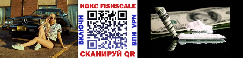 Купить закладки  Сегежа  Кокаин Fish Scale 